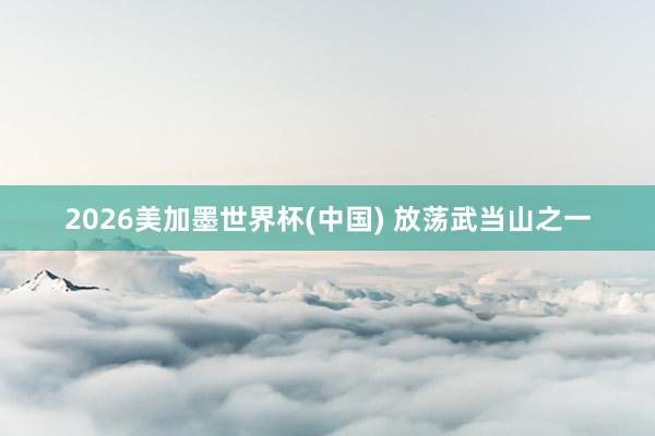 2026美加墨世界杯(中國) 放蕩武當山之一
