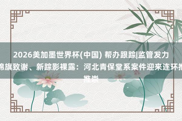 2026美加墨世界杯(中國) 幫辦跟蹤|監(jiān)管發(fā)力、錦旗致謝、新蹤影裸露：河北青保堂系案件迎來連環(huán)推崇