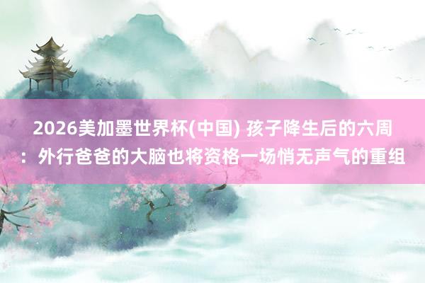 2026美加墨世界杯(中國) 孩子降生后的六周:外行爸爸的大腦也將資格一場悄無聲氣的重組
