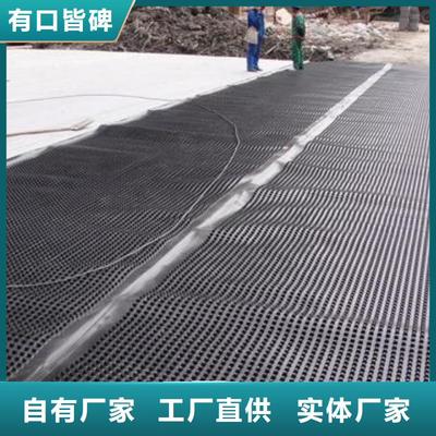 郴州及周邊地區鋼塑土工格柵應用與發展現狀（2025年8月更新）